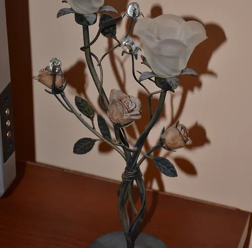 Viatores * 利沃夫